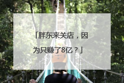 胖东来关店，因为只赚了8亿？