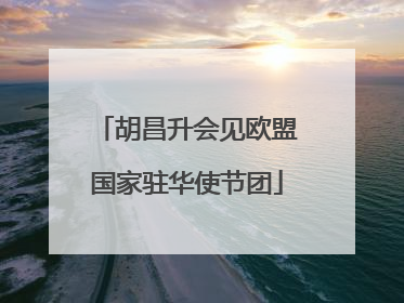 胡昌升会见欧盟国家驻华使节团