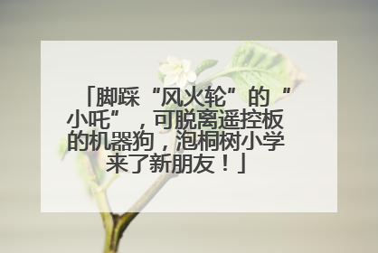 脚踩“风火轮”的“小吒”，可脱离遥控板的机器狗，泡桐树小学来了新朋友！
