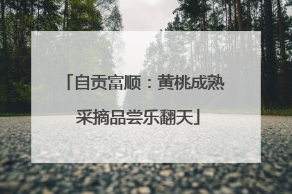 自贡富顺：黄桃成熟 采摘品尝乐翻天
