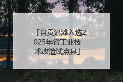 自贡沿滩入选2025年省工业技术改造试点县