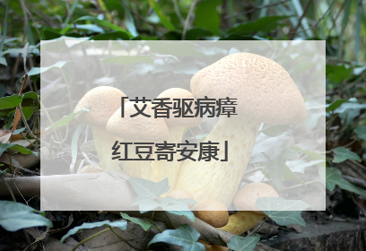 艾香驱病瘴 红豆寄安康