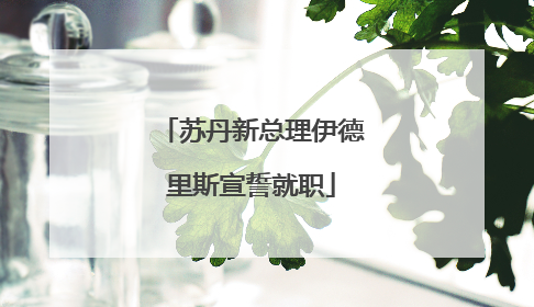 苏丹新总理伊德里斯宣誓就职