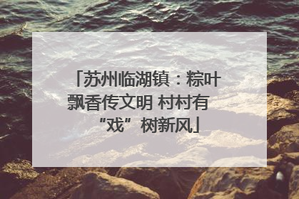 苏州临湖镇：粽叶飘香传文明 村村有“戏”树新风