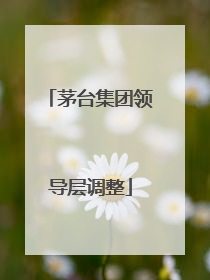 茅台集团领导层调整