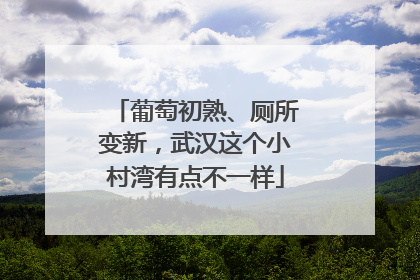 葡萄初熟、厕所变新，武汉这个小村湾有点不一样