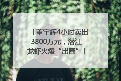 董宇辉4小时卖出3800万元，潜江龙虾火爆“出圈”