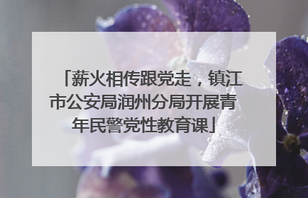 薪火相传跟党走，镇江市公安局润州分局开展青年民警党性教育课