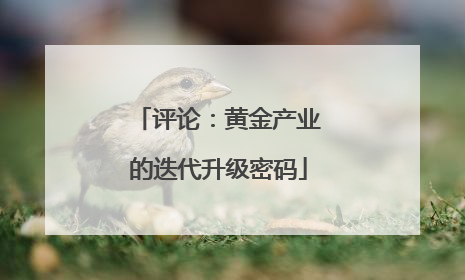 评论：黄金产业的迭代升级密码