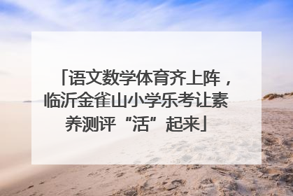 语文数学体育齐上阵，临沂金雀山小学乐考让素养测评“活”起来