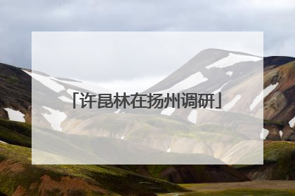 许昆林在扬州调研