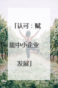 认可：赋能中小企业发展