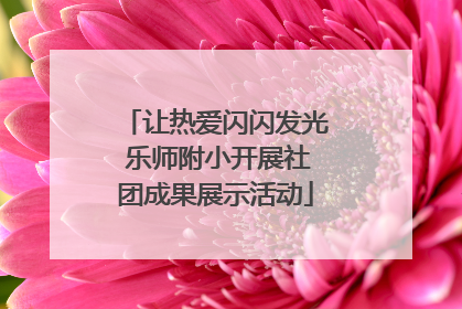 让热爱闪闪发光 乐师附小开展社团成果展示活动