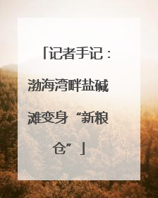 记者手记：渤海湾畔盐碱滩变身“新粮仓”