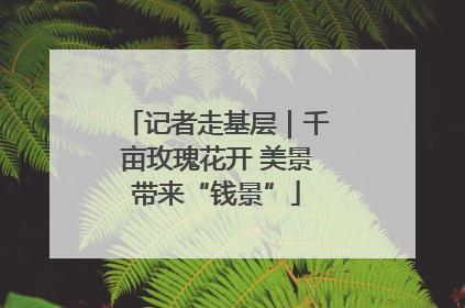 记者走基层｜千亩玫瑰花开 美景带来“钱景”