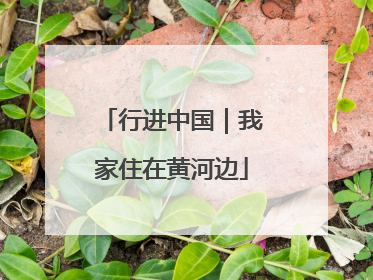 行进中国｜我家住在黄河边