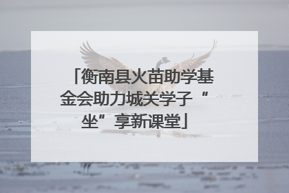 衡南县火苗助学基金会助力城关学子“坐”享新课堂
