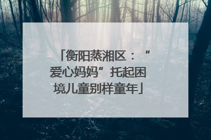衡阳蒸湘区：“爱心妈妈”托起困境儿童别样童年