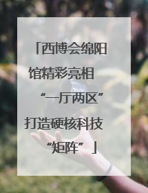 西博会绵阳馆精彩亮相 “一厅两区”打造硬核科技“矩阵”