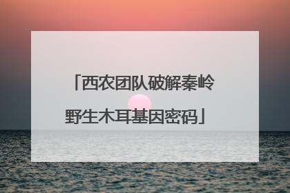 西农团队破解秦岭野生木耳基因密码