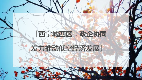 西宁城西区：政企协同发力推动低空经济发展