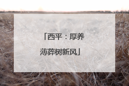 西平：厚养薄葬树新风