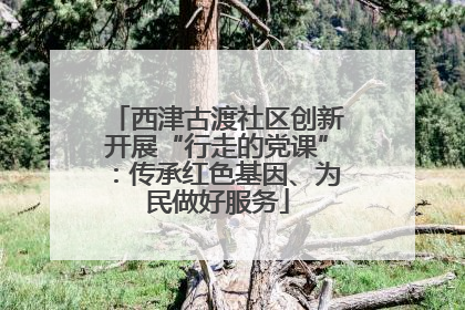 西津古渡社区创新开展“行走的党课”：传承红色基因、为民做好服务