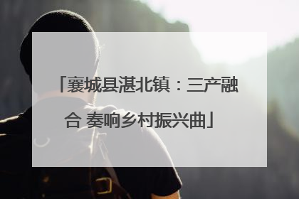 襄城县湛北镇：三产融合 奏响乡村振兴曲