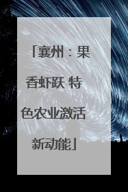襄州：果香虾跃 特色农业激活新动能