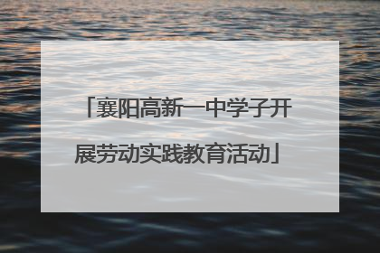 襄阳高新一中学子开展劳动实践教育活动