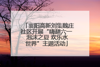 襄阳高新刘集魏庄社区开展“嗨翻六一 泡沫之夏 欢乐水世界”主题活动