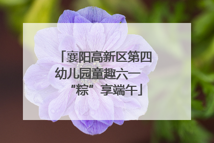 襄阳高新区第四幼儿园童趣六一 “粽”享端午