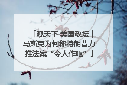 观天下·美国政坛｜马斯克为何称特朗普力推法案“令人作呕”