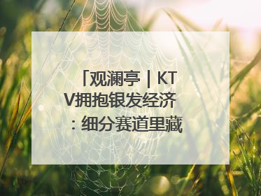 观澜亭｜KTV拥抱银发经济：细分赛道里藏着潜在需求