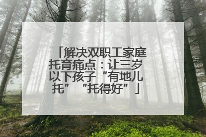 解决双职工家庭托育痛点：让三岁以下孩子“有地儿托”“托得好”