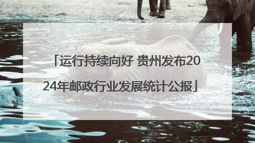 运行持续向好 贵州发布2024年邮政行业发展统计公报
