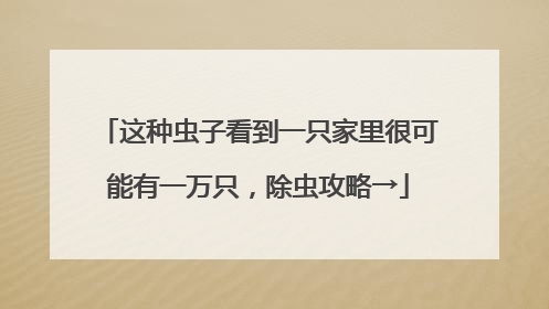 这种虫子看到一只家里很可能有一万只，除虫攻略→