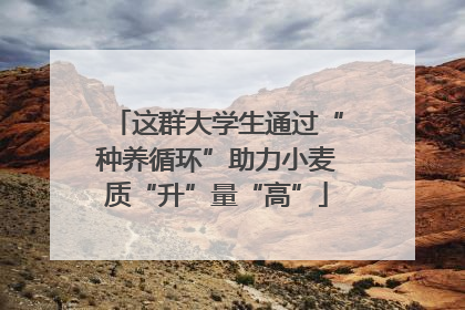 这群大学生通过“种养循环”助力小麦质“升”量“高”
