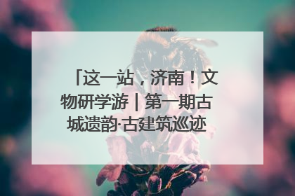 这一站，济南！文物研学游｜第一期古城遗韵·古建筑巡迹之旅圆满结束