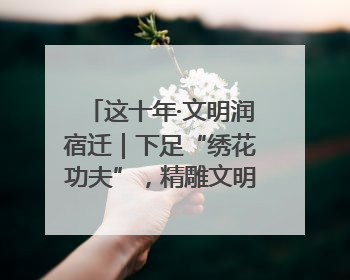 这十年·文明润宿迁｜下足“绣花功夫”，精雕文明城市品质