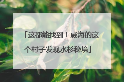 这都能找到！威海的这个村子发现水杉秘境