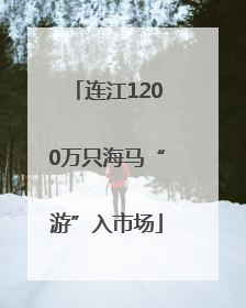 连江1200万只海马“游”入市场