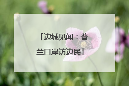 边城见闻：普兰口岸访边民