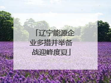 辽宁能源企业多措并举备战迎峰度夏