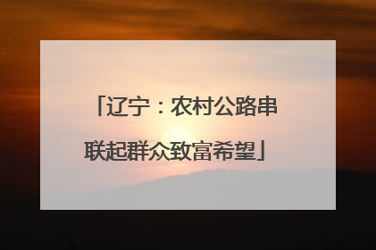 辽宁：农村公路串联起群众致富希望