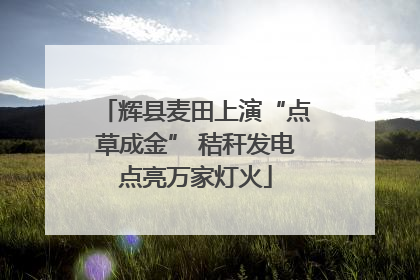 辉县麦田上演“点草成金” 秸秆发电点亮万家灯火