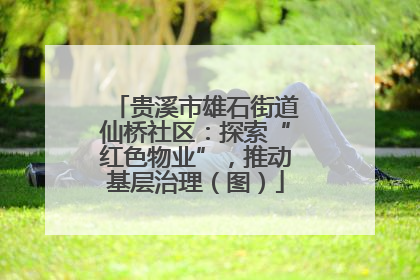贵溪市雄石街道仙桥社区：探索“红色物业”，推动基层治理（图）