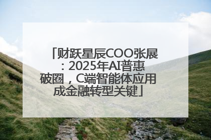 财跃星辰COO张展：2025年AI普惠破圈，C端智能体应用成金融转型关键