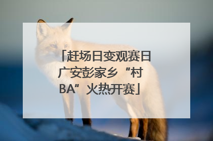 赶场日变观赛日 广安彭家乡“村BA”火热开赛