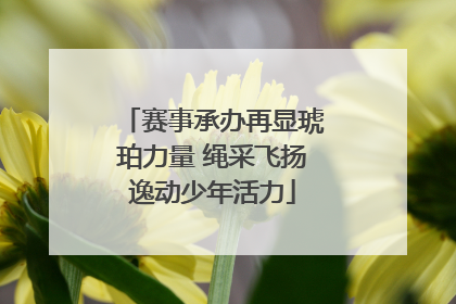 赛事承办再显琥珀力量 绳采飞扬逸动少年活力
